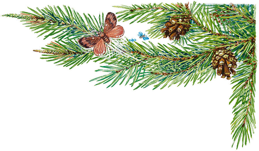 Новые приключения Карика и Вали - i_021.png