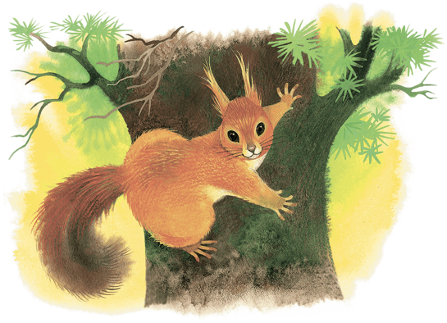 Храбрый Тилли и другие истории (сборник) - i_012.png