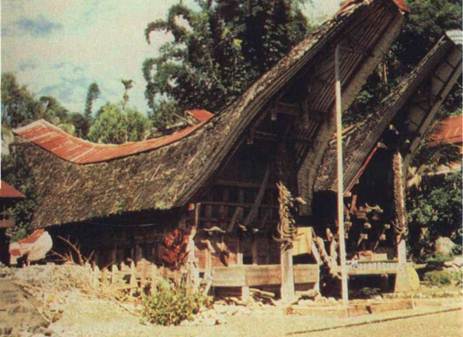 Боги были астронавтами! - i_028.jpg