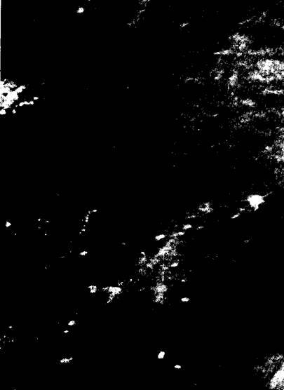 Боги были астронавтами! - i_045.jpg