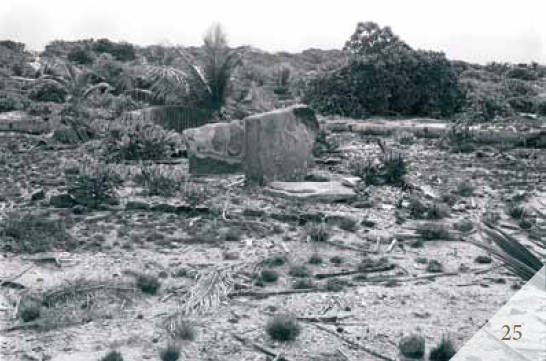 Доказательства существования богов. Более 200 сенсационных фотографий артефактов - i_026.jpg