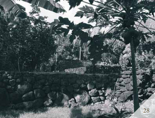 Доказательства существования богов. Более 200 сенсационных фотографий артефактов - i_029.jpg