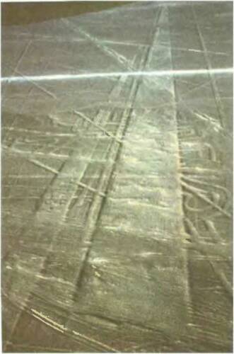 Знаки, обращенные в вечность - i_007.jpg