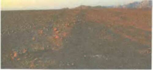 Знаки, обращенные в вечность - i_012.jpg