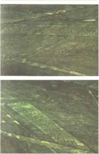 Знаки, обращенные в вечность - i_019.jpg