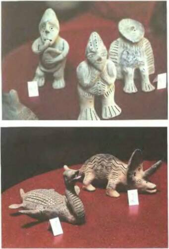 Знаки, обращенные в вечность - i_063.jpg