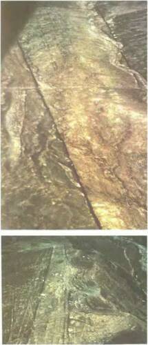 Знаки, обращенные в вечность - i_069.jpg