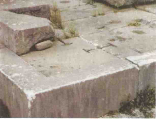 Именем Зевса - i_006.jpg