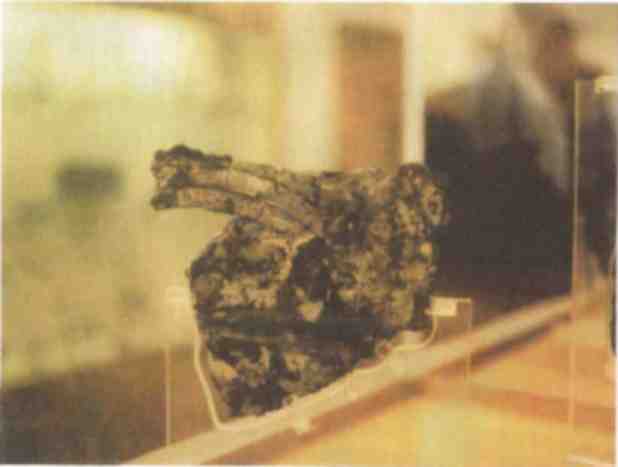 Именем Зевса - i_019.jpg