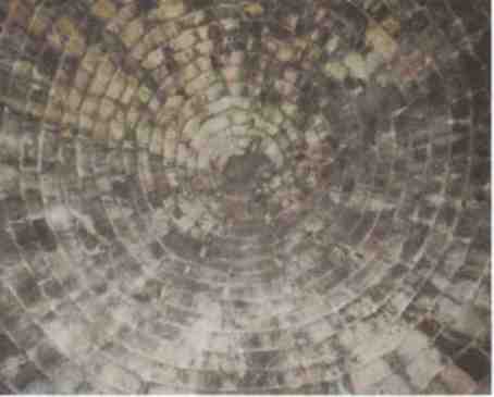 Именем Зевса - i_027.jpg