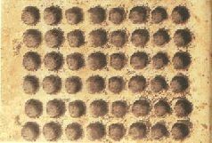 Небесные учителя - pic_72.jpg