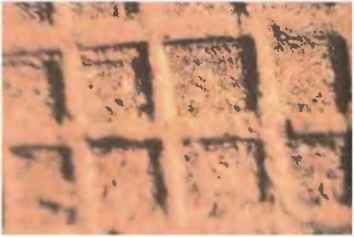 По следам всемогущих богов - i_089.jpg