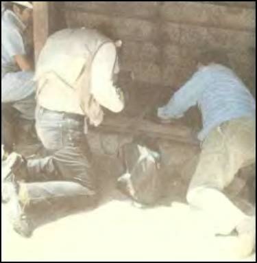 По следам всемогущих богов - i_118.jpg