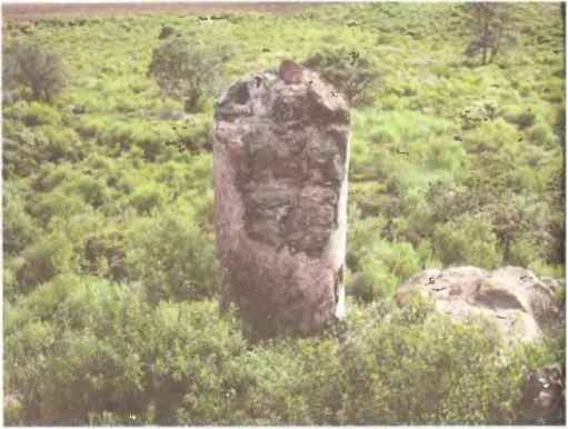 По следам всемогущих богов - i_124.jpg