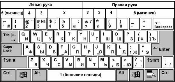 Самоучитель «слепой» печати. Учимся быстро набирать тексты на компьютере - i_008.jpg