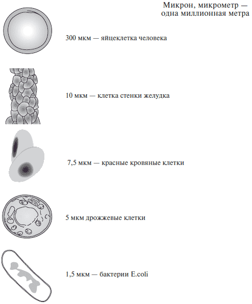 Большая книга о здоровье - _7.jpg