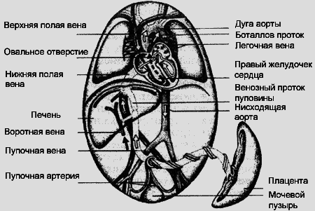 Душевный свет - i_017.png