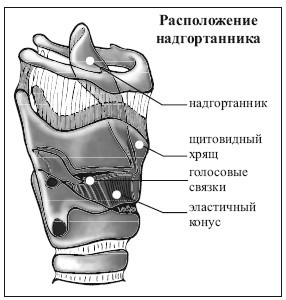 Прямая дорога к свету - _9.jpg