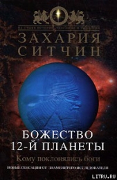 Божество 12-й планеты - автор Ситчин Захария 