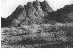 Колыбели Цивилизаций - AUTO_fb_img_loader_129