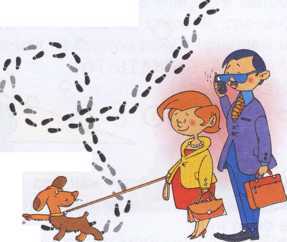 Что делать если ... - image25.jpg