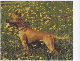 Что делать если ... - image58.jpg