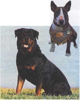 Что делать если ... - image59.jpg