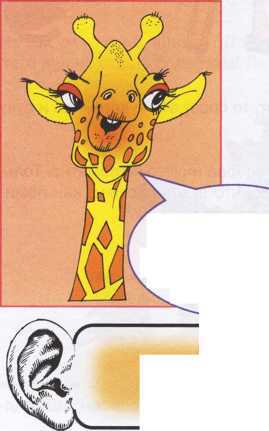 Что делать если ... - image76.jpg