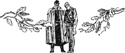 Дуб стоеросовый - Sob23220.png