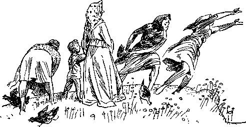 Как куры научились плавать - _3.png