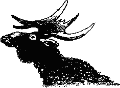 Лось в театре - _1.png