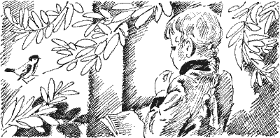 Московка - Sob23150.png