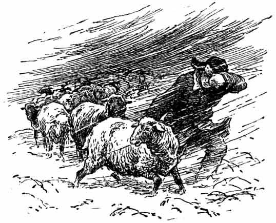 Путь отважных - _24.jpg