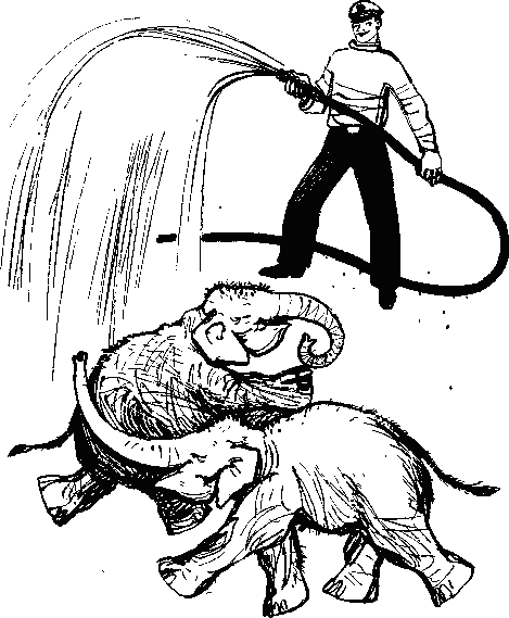 Рави и Шаши - _3.png