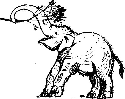 Рави и Шаши - _42.png