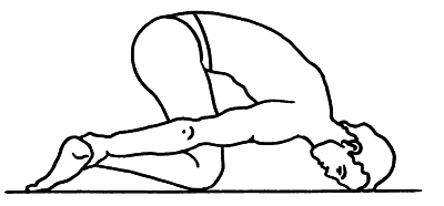 Биоэнергетика человека: пути повышения энергетического потенциала - i_027.png