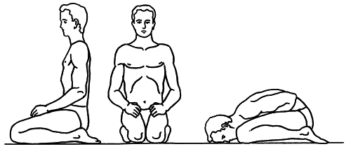 Биоэнергетика человека: пути повышения энергетического потенциала - i_057.png