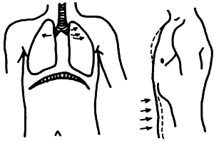 Биоэнергетика человека: пути повышения энергетического потенциала - i_060.png