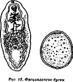 Жизнь без паразитов - i12.png