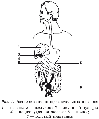 Золотые правила питания - i_001.png