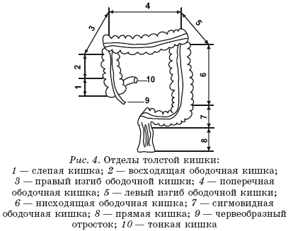 Золотые правила питания - i_004.png
