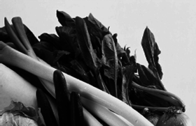 Кулинарная книга здоровья - pic_8.png