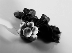 Кулинарная книга здоровья - pic_9.png