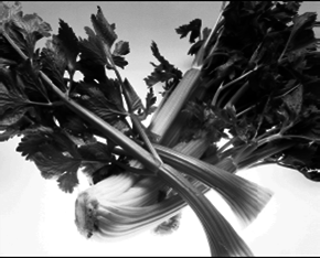 Кулинарная книга здоровья - pic_16.png