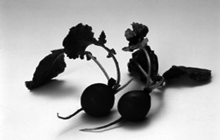 Кулинарная книга здоровья - pic_18.png