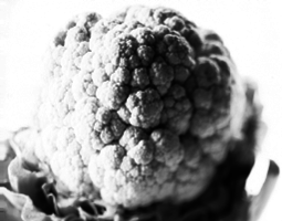 Кулинарная книга здоровья - pic_32.png