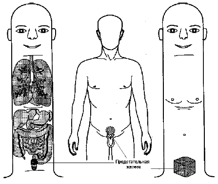 Лечение простатита - i_007.png