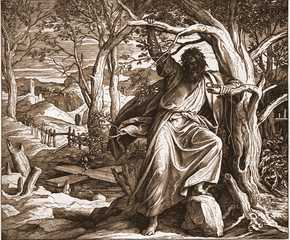 Библия в иллюстрациях - i_180.jpg