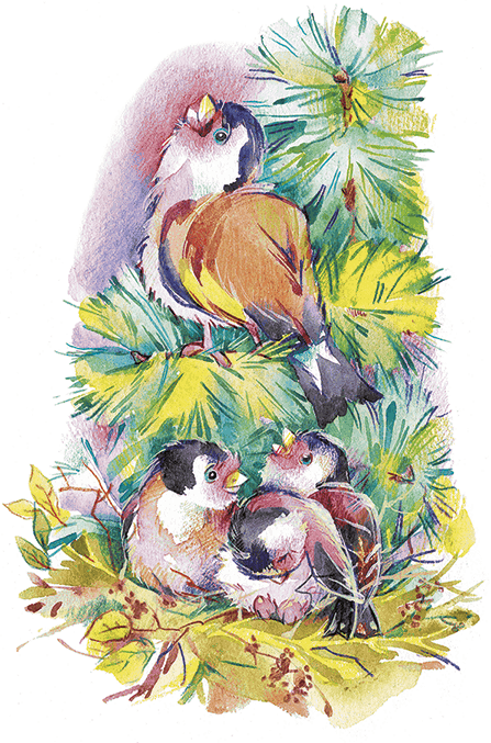 Жили-были пони (сборник) - i_006.png