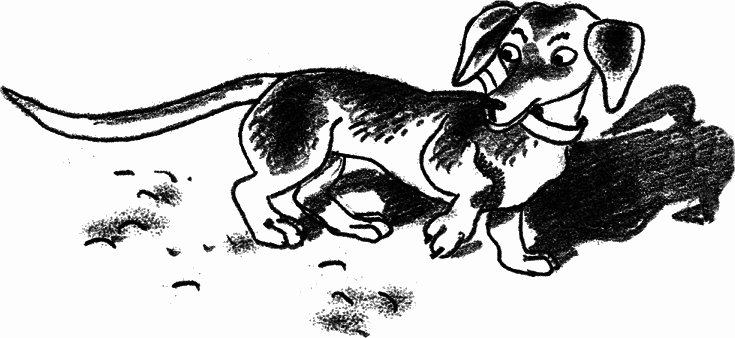 Рассказы Люси Синицыной (сборник) - _003_3.png